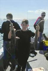 3 lb 4 oz Smooth-hound by Big George