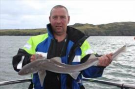 5 lb Starry Smooth-hound by Toffee Steve