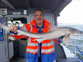 6 lb 5 oz Starry Smooth-hound by Paul Layton