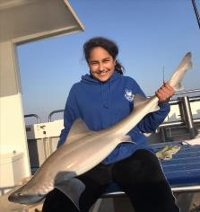 16 lb 1 oz Smooth-hound (Common) by Unknown