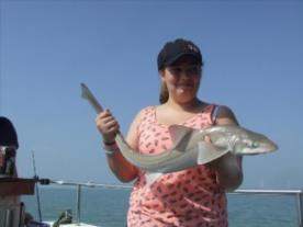 2 oz Smooth-hound by Unknown