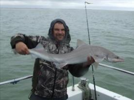 2 oz Smooth-hound by Unknown