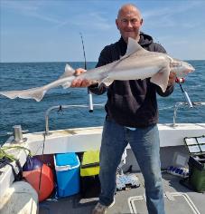 13 lb Smooth-hound by Skipper Jay