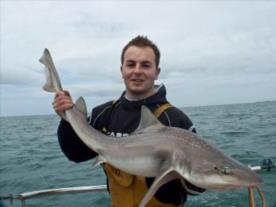 20 lb 8 oz Starry Smooth-hound by Lee