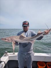 14 lb 2 oz Starry Smooth-hound by Patrick