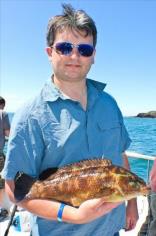 3 lb Ballan Wrasse by Unknown
