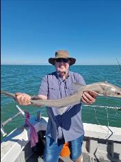 8 lb Starry Smooth-hound by Jim the skate