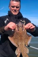 3 lb Spotted Ray by Mark