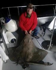 2 oz Common Skate by Unknown