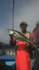 5 lb 1 oz Pollock by DREW