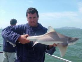 14 lb 5 oz Starry Smooth-hound by Matthew Burrett