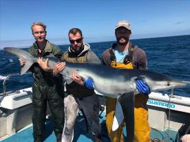 130 lb Blue Shark by Tom