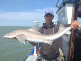 15 lb Smooth-hound (Common) by Paul