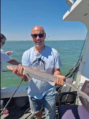 5 lb Starry Smooth-hound by Martin