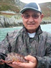 4 oz Tompot Blenny by Billy Boswell