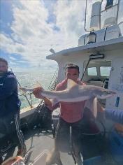 12 lb Smooth-hound by John