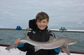 5 lb Starry Smooth-hound by Harry