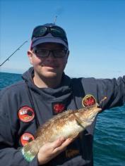 2 lb Ballan Wrasse by Bubs