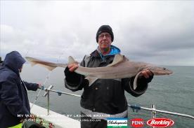 11 lb Starry Smooth-hound by Keith