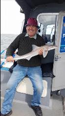 4 lb Starry Smooth-hound by Kevin