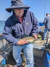 2 lb Ballan Wrasse by Unknown