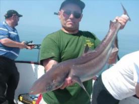 13 lb Spurdog by Steve Ralphson