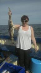 2 lb 8 oz Cod by unknown
