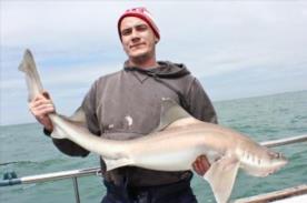 18 lb Starry Smooth-hound by Jay Thomas