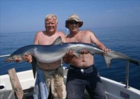 73 lb Blue Shark by Phil Robinson