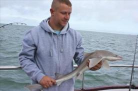 4 lb Smooth-hound (Common) by Martyn