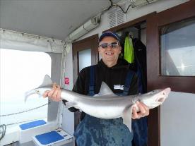 2 oz Smooth-hound by Unknown