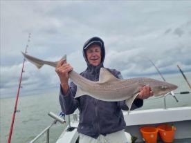 14 lb Starry Smooth-hound by Mick