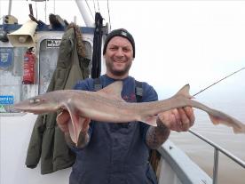 6 lb Smooth-hound (Common) by Mark Wallis