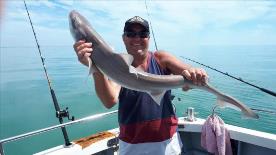 13 lb 8 oz Smooth-hound (Common) by Pete  evans