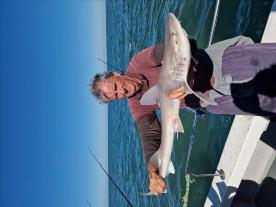 8 lb Starry Smooth-hound by John the feet