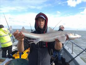 6 lb Smooth-hound (Common) by Paul