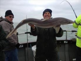 14 lb Spurdog by Golden balls Barry