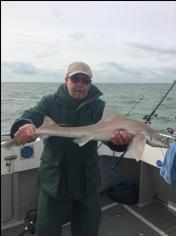 7 lb Starry Smooth-hound by Brian