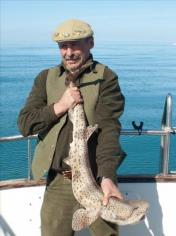 11 lb Bull Huss by Dic Dock