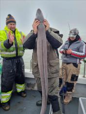 27 lb 5 oz Conger Eel by Andrew