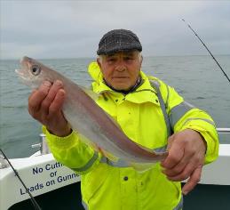 2 lb Whiting by Andy