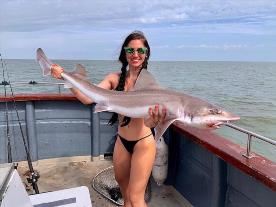 22 lb Smooth-hound (Common) by Alyssa Magnum