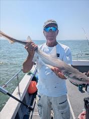 6 lb Starry Smooth-hound by Mick