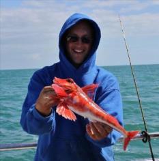 2 lb 2 oz Red Gurnard by Lyle Stantiford