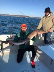 12 lb Bull Huss by Novice