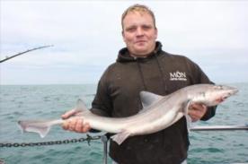 12 lb Starry Smooth-hound by Ari Wills