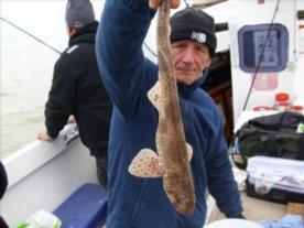 2 lb 2 oz Lesser Spotted Dogfish by Ray Marsh