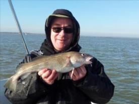 2 lb Cod by Scott Belbin