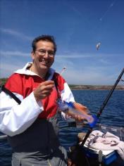 1 lb Cuckoo Wrasse by Martin England Team