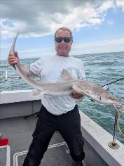 10 lb Starry Smooth-hound by Unknown